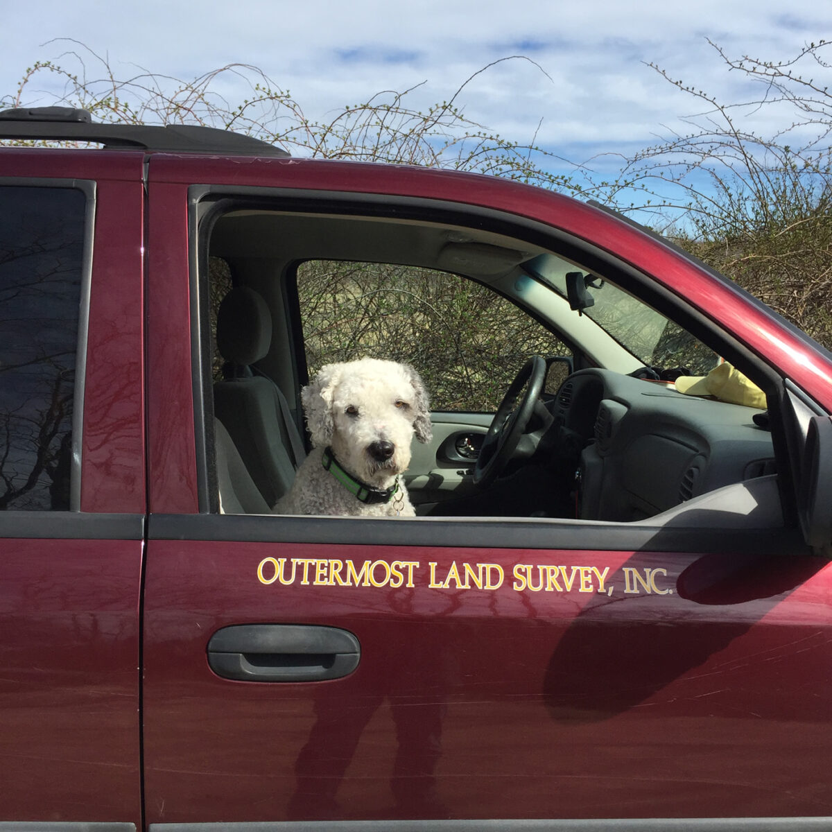 outermost-land-survey-dog
